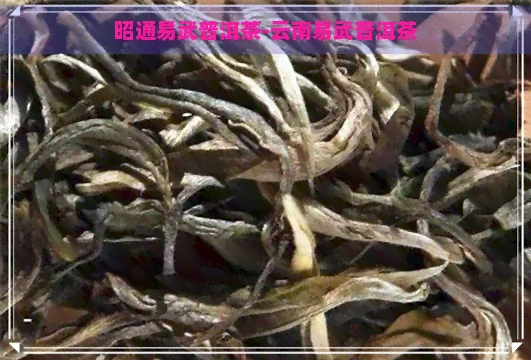 昭通易武普洱茶-云南易武普洱茶