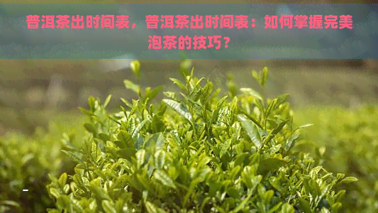 普洱茶出时间表，普洱茶出时间表：如何掌握完美泡茶的技巧？