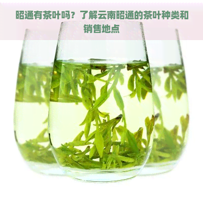 昭通有茶叶吗？了解云南昭通的茶叶种类和销售地点