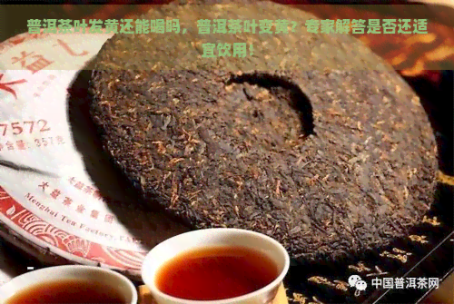 普洱茶叶发黄还能喝吗，普洱茶叶变黄？专家解答是否还适宜饮用！