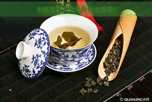 大益普洱茶批号是什么意思？