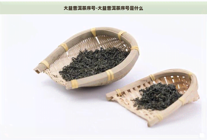 大益普洱茶序号-大益普洱茶序号是什么