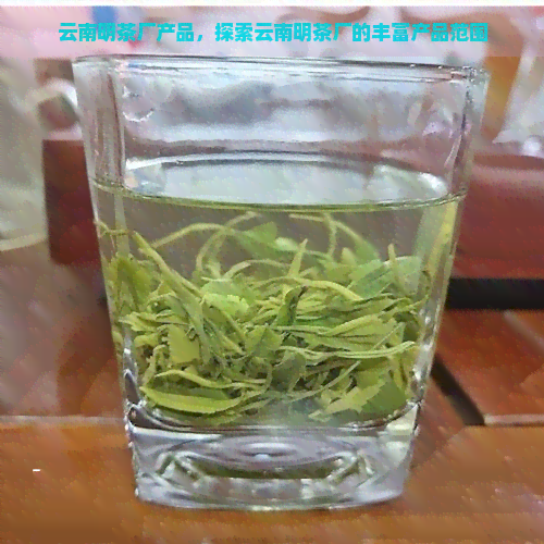 云南明茶厂产品，探索云南明茶厂的丰富产品范围