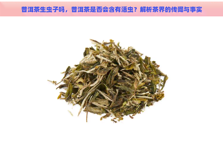 普洱茶生虫子吗，普洱茶是否会含有活虫？解析茶界的传闻与事实