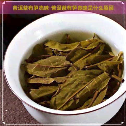 普洱茶有笋壳味-普洱茶有笋壳味是什么原因