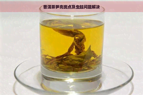 普洱茶笋壳斑点及虫蛀问题解决