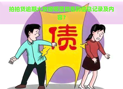 逾期大数据哪里能看到信息记录及内容？