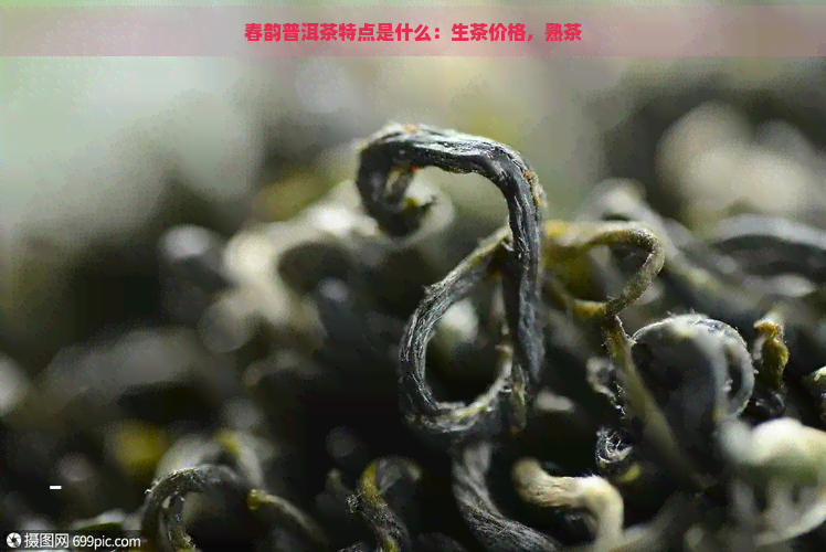 春韵普洱茶特点是什么：生茶价格，熟茶