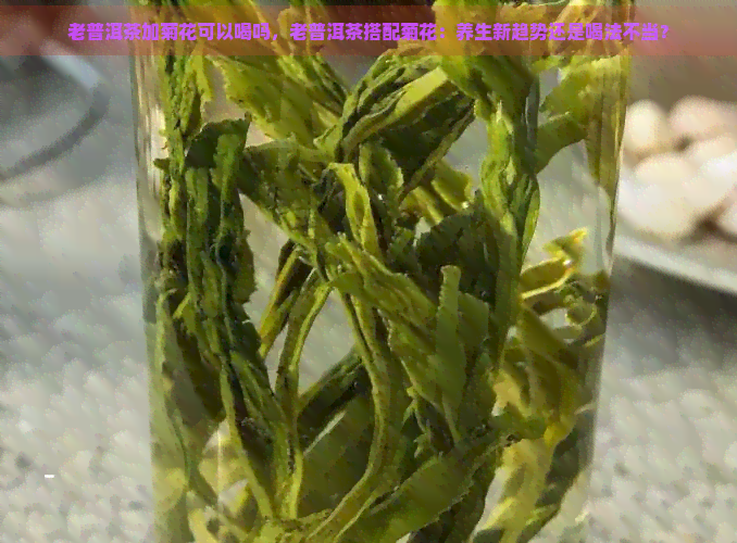 老普洱茶加菊花可以喝吗，老普洱茶搭配菊花：养生新趋势还是喝法不当？