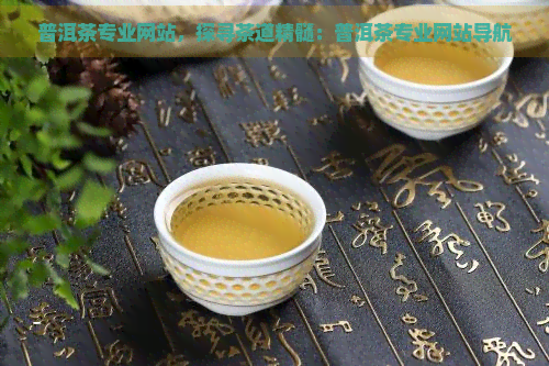 普洱茶专业网站，探寻茶道精髓：普洱茶专业网站导航