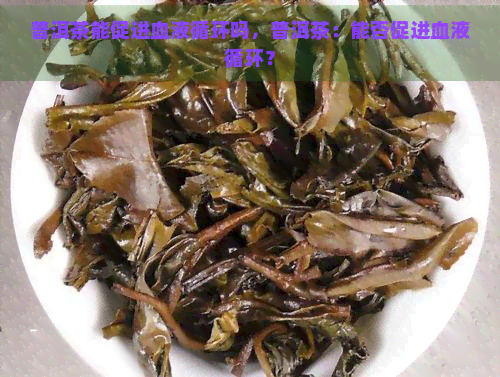 普洱茶能促进血液循环吗，普洱茶：能否促进血液循环？