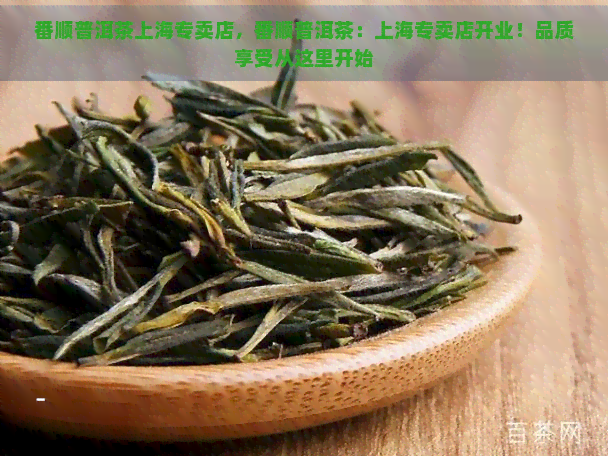 番顺普洱茶上海专卖店，番顺普洱茶：上海专卖店开业！品质享受从这里开始