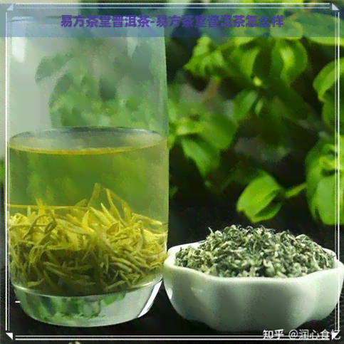 易方茶堂普洱茶-易方茶堂普洱茶怎么样