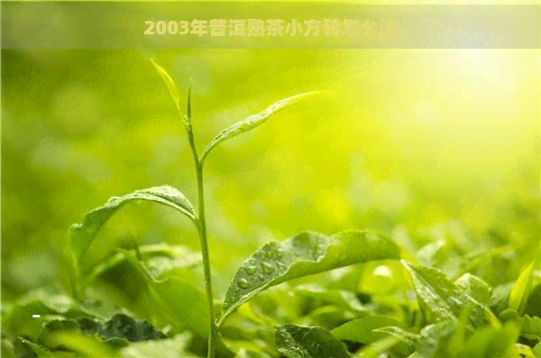 2003年普洱熟茶小方砖怎么泡