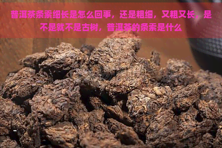 普洱茶条索细长是怎么回事，还是粗细，又粗又长，是不是就不是古树，普洱茶的条索是什么