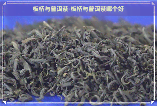 板桥与普洱茶-板桥与普洱茶哪个好