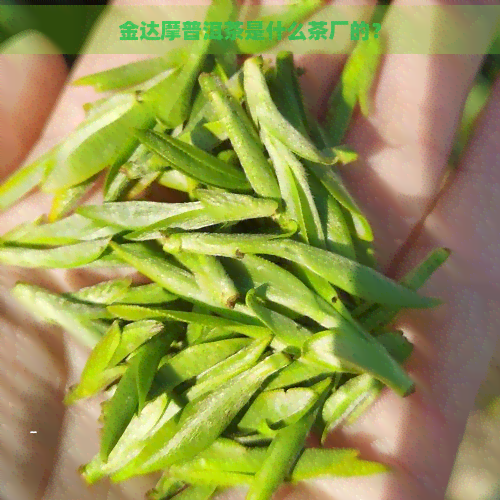 金达摩普洱茶是什么茶厂的？