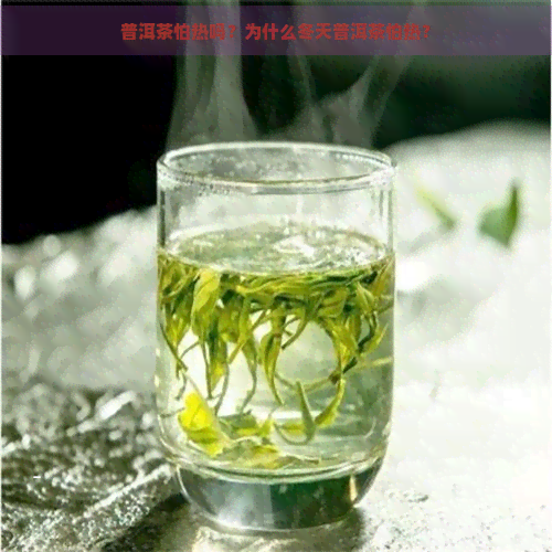 普洱茶怕热吗？为什么冬天普洱茶怕热？