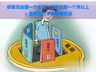 你我贷逾期一个多月，贷款逾期一个月以上：金融压力下的你我挑战