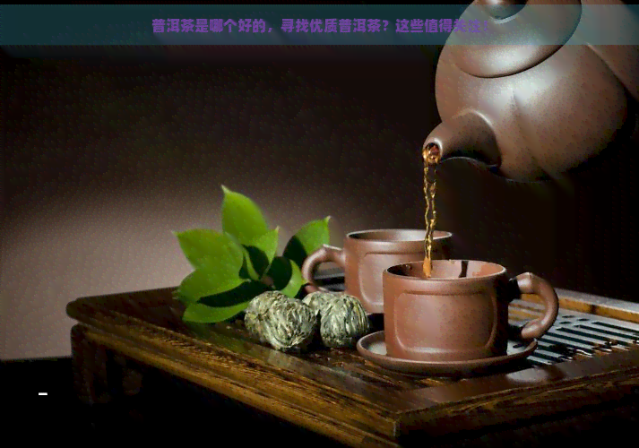 普洱茶是哪个好的，寻找优质普洱茶？这些值得关注！