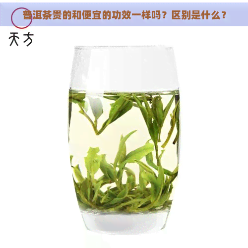 普洱茶贵的和便宜的功效一样吗？区别是什么？