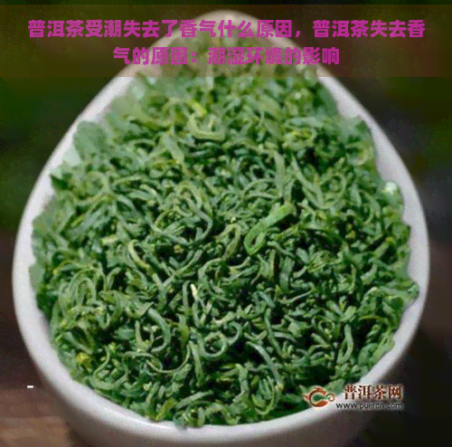 普洱茶受潮失去了香气什么原因，普洱茶失去香气的原因：潮湿环境的影响