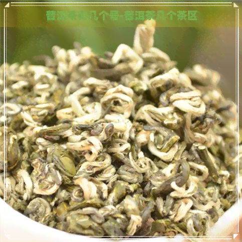 普洱茶有几个号-普洱茶几个茶区