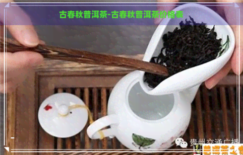 古春秋普洱茶-古春秋普洱茶价格表