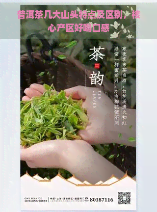 普洱茶几大山头特点及区别，核心产区好喝口感