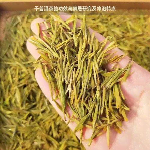 干普洱茶的功效与禁忌研究及冲泡特点