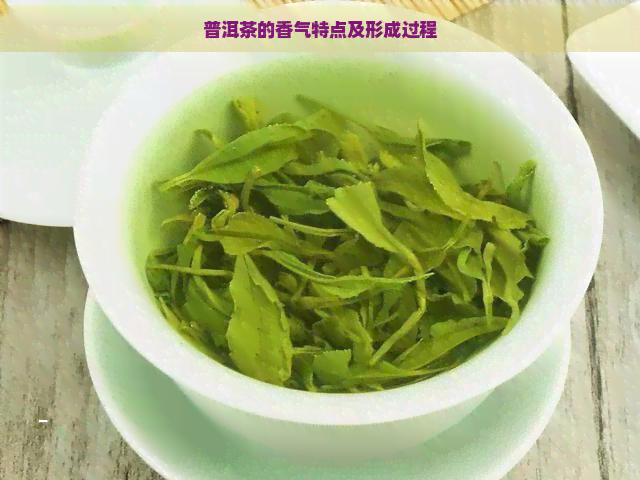 普洱茶的香气特点及形成过程