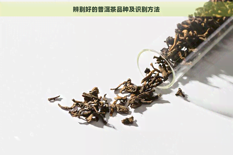 辨别好的普洱茶品种及识别方法