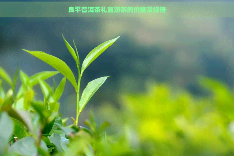 良平普洱茶礼盒熟茶的价格及规格