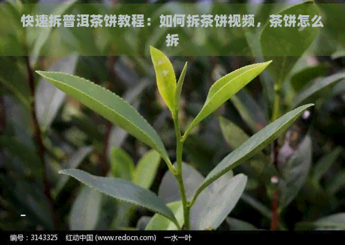 快速拆普洱茶饼教程：如何拆茶饼视频，茶饼怎么拆