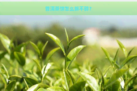 普洱茶饼怎么拆不碎？