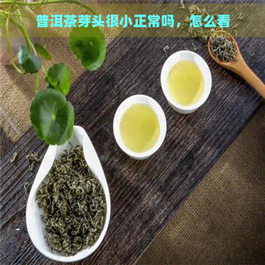 普洱茶芽头很小正常吗，怎么看