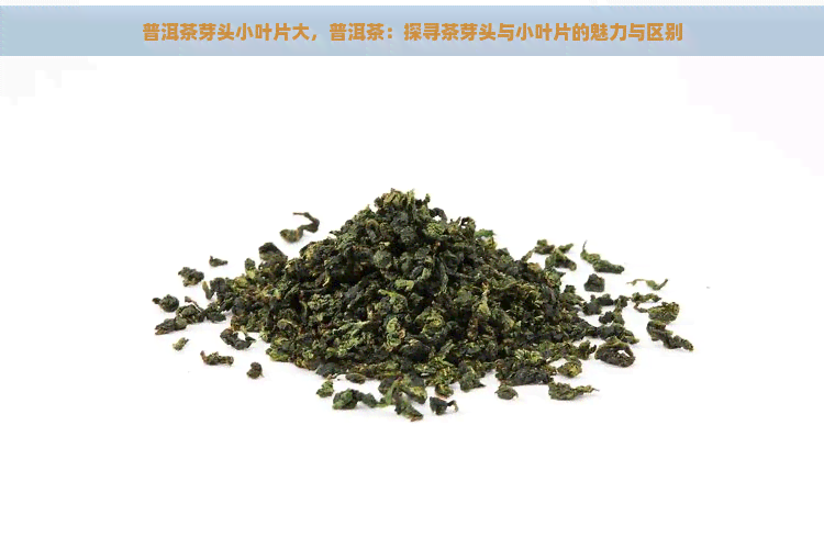 普洱茶芽头小叶片大，普洱茶：探寻茶芽头与小叶片的魅力与区别