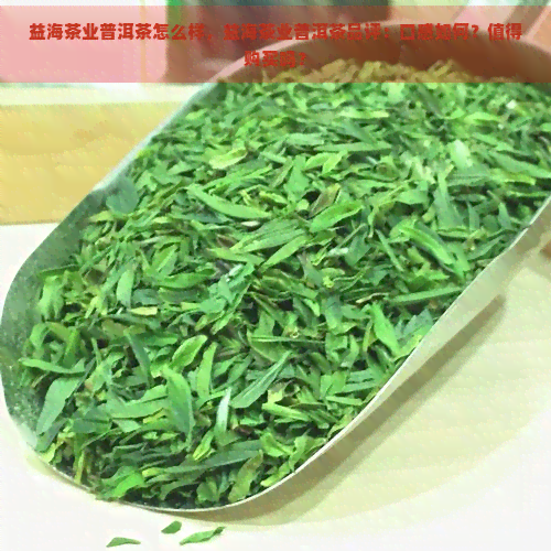 益海茶业普洱茶怎么样，益海茶业普洱茶品评：口感如何？值得购买吗？