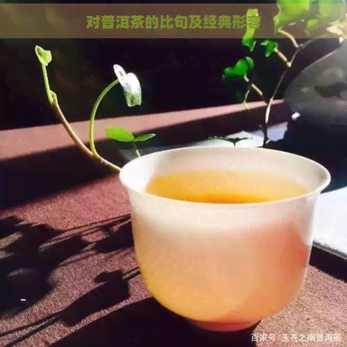 对普洱茶的比句及经典形容