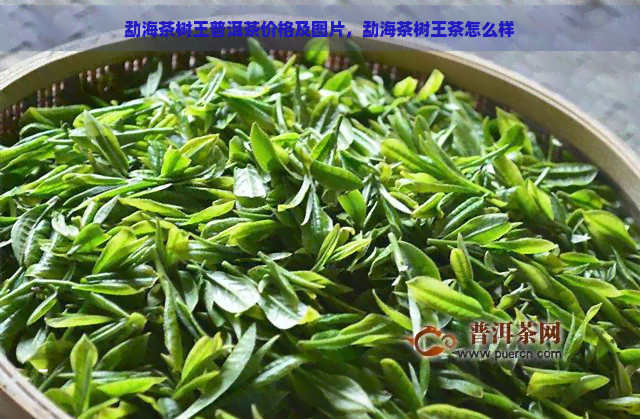 勐海茶树王普洱茶价格及图片，勐海茶树王茶怎么样