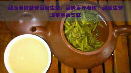 勐库老树茶普洱茶生茶，品味百年老树：勐库生普洱茶醇香饮味