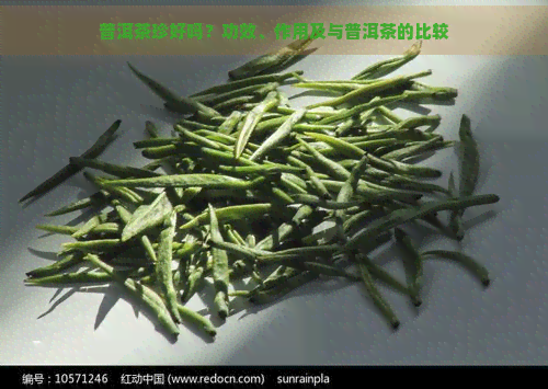 普洱茶珍好吗？功效、作用及与普洱茶的比较