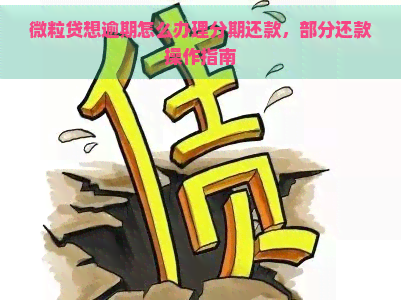 微粒贷想逾期怎么办理分期还款，部分还款操作指南