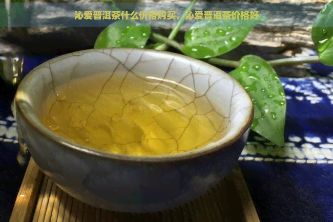 沁爱普洱茶什么价格购买，沁爱普洱茶价格好