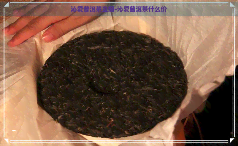 沁爱普洱茶直播-沁爱普洱茶什么价