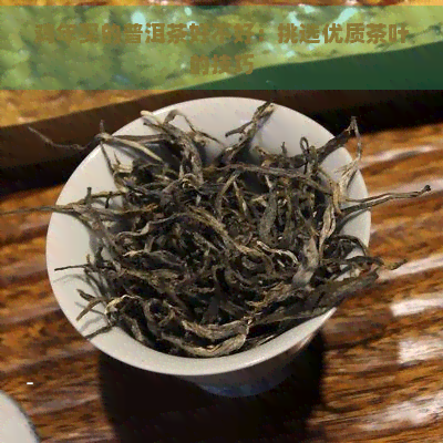 鸡年买的普洱茶好不好：挑选优质茶叶的技巧