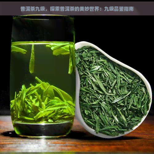 普洱茶九级，探索普洱茶的美妙世界：九级品鉴指南