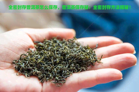 全密封存普洱茶怎么保存，普洱茶保存秘：全密封存方法揭秘！