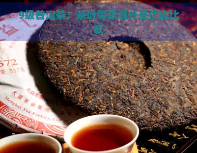 9级普洱茶：茶叶等级划分及优劣比较