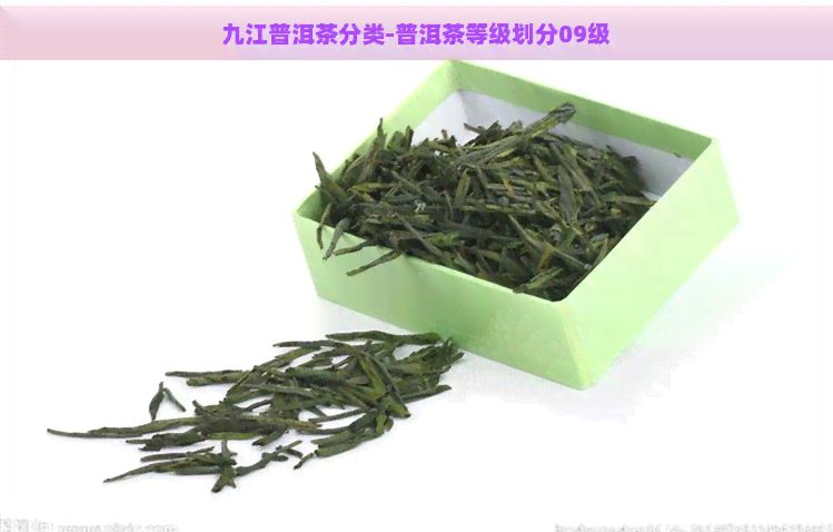 九江普洱茶分类-普洱茶等级划分09级